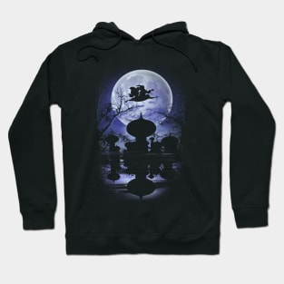 A whole new world Hoodie